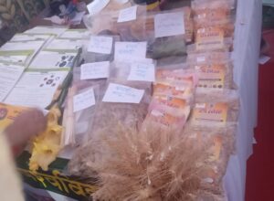 WhatsApp Image 2026-03-27 at 3.26.19 PM (1)