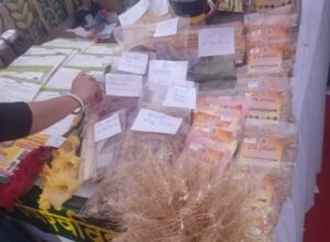 WhatsApp Image 2026-03-27 at 3.26.19 PM